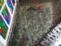 -阳光康体养生足道(葆宁嘉苑店)