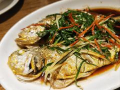 清蒸黄鱼-潮中人·潮州菜(益乐路店)