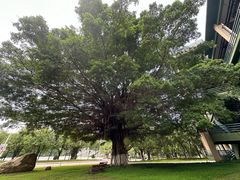 -广东工业大学(大学城校区)