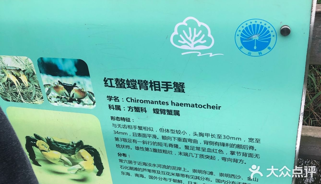 出示了绿色随申码和提前买的门票才入园