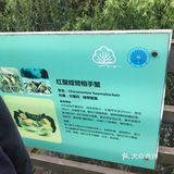 出示了绿色随申码和提前买的门票才入园