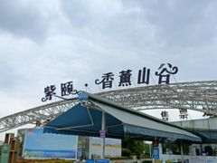 -紫颐香薰山谷景区