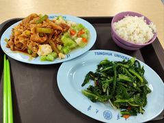 -清华大学-清芬园