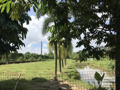 -番禺大夫山森林公园