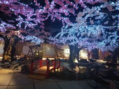 -蓝鲸湾汤泉(包河店)