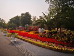 门面-官港森林公园