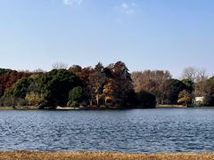 -上海共青森林公园