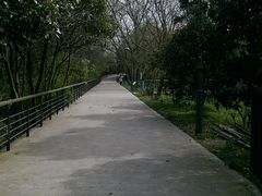 IMAG0162-西湖风景区-江洋畈生态公园