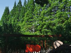 -上海方塔园