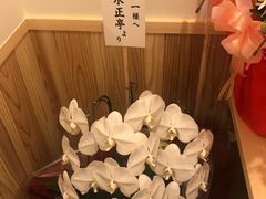 -面屋 猪一