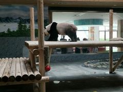 -西安秦岭野生动物园