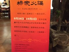 -杨家火锅(国美店)