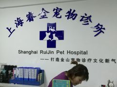 -睿金宠物医院·CT·肿瘤·骨外科