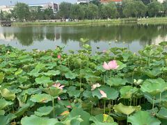 -西海子公园