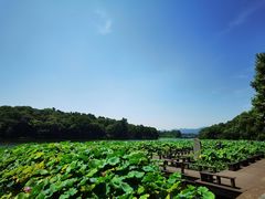 -杭州西湖风景名胜区-北街寻梦