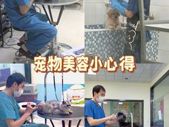 -天宠宠物医院24小时·急重症诊疗中心·全科·腔镜特色(和平分院)