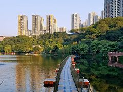 -重庆彩云湖湿地公园