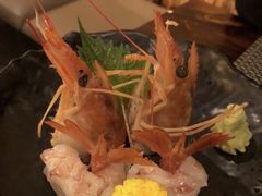 赤蝦刺身-矶野水产(澳门逸园中心店)