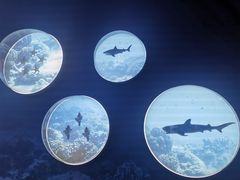 -上海中国航海博物馆