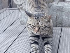 -正阳书局(西四南大街店)