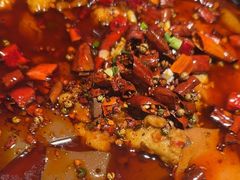 -大鸭梨烤鸭店(花园村店)