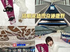 -哈尔滨热雪奇迹
