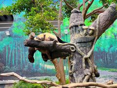-石排湾郊野公园