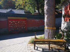 -阳台山自然风景区