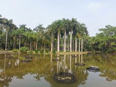 -中国科学院西双版纳热带植物园