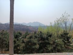 -西部长青自然儿童乐园