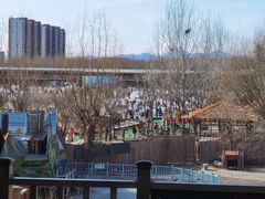 -北京鹿世界主题园