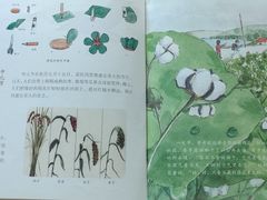 -上海市虹口区图书馆(曲阳分馆)