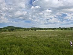 -御道口草原森林风景区
