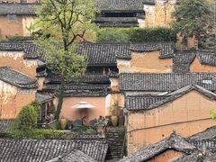 -杨家堂村