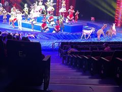 -珠海横琴长隆《卡卡虎奇遇记》