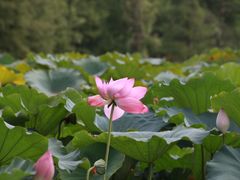 -云龙湖旅游景区