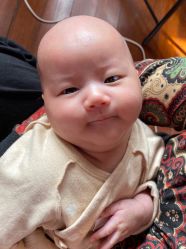 -龙文宝贝上门婴儿理发满月剃胎毛(总店)