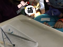 -和平卓尔口腔·矫正种植中心