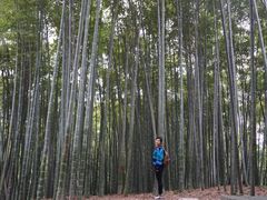 -杭州黄龙洞