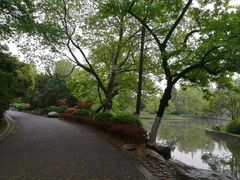 景点-逍遥津公园