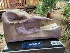 -中国第四纪冰川遗迹陈列馆