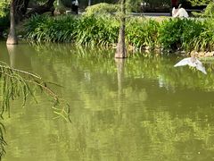 -人民公园(罗湖区)