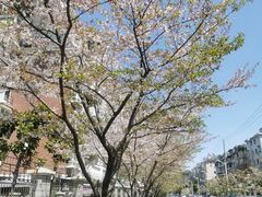 -永乐路-路侧停车场