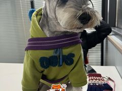 -伟伟宠物医院·CT影像中心·瑞派犬猫综合性门诊(汉口总院)
