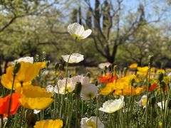-名花谷生态庄园