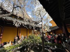 -龙华寺
