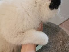 -佳雯宠物医院·皮肤科·内外科(春晓路分院)