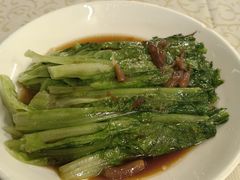 -百利鸽王(紫薇路店)