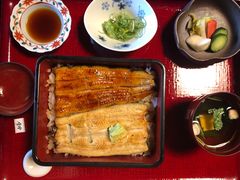 -料亭菊水楼