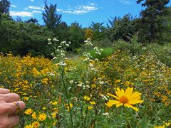-国家植物园南园